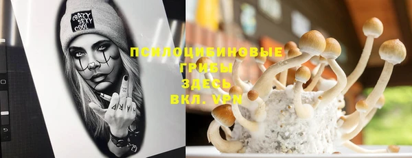 прущая мука Михайлов