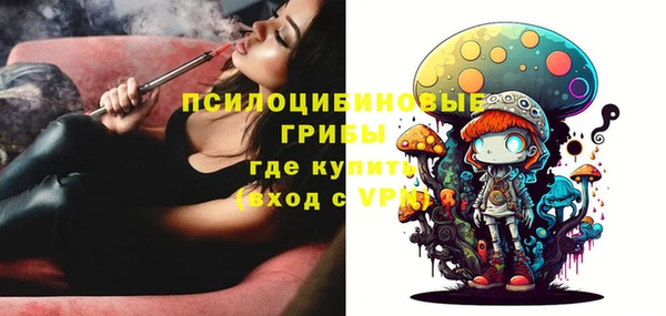 прущая мука Михайлов