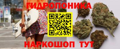 молекула духа Заводоуковск
